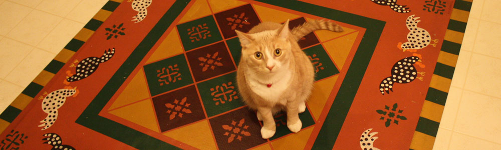 cat on the floorcloth