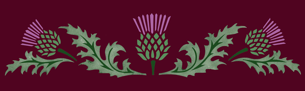 Thistle border