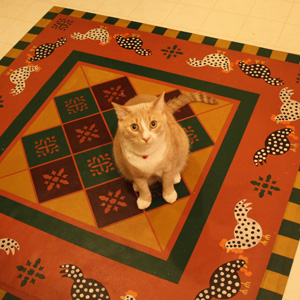 can on kitchen floorcloth